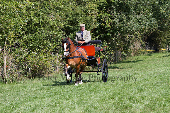 Warfield Driving show 2011