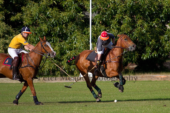 Summer Night's Polo