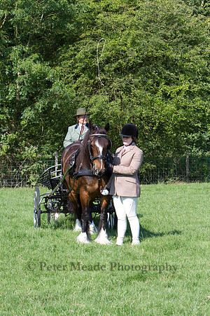 Warfield Driving show 2011