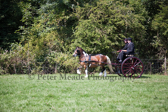 Warfield Driving show 2011
