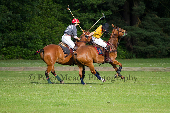 Summer Night's Polo