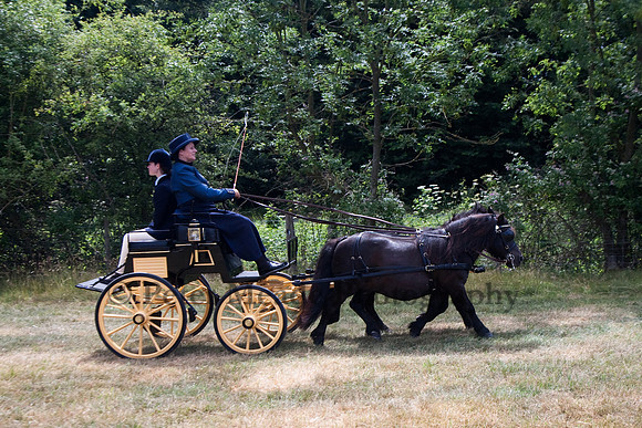 Warfield Driving Show 2010