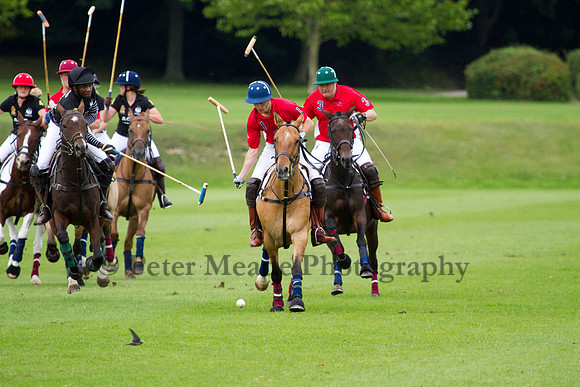 AGC Polo Cup 2011