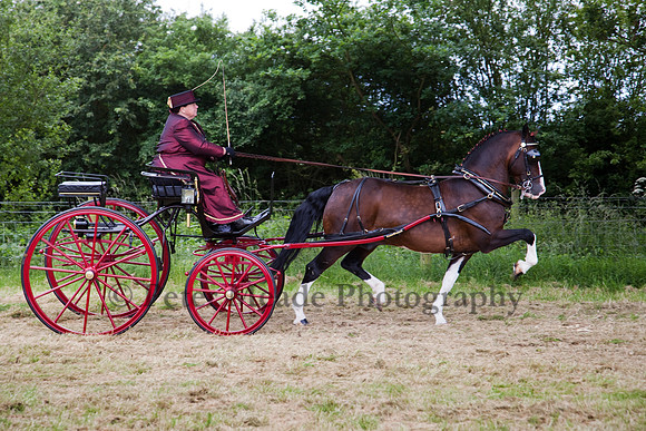Warfield Driving Show 2012