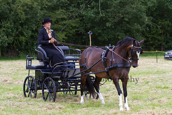 Warfield Driving Show 2012