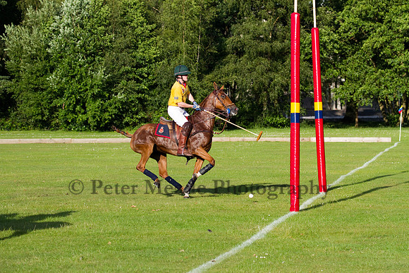 Summer Night's Polo