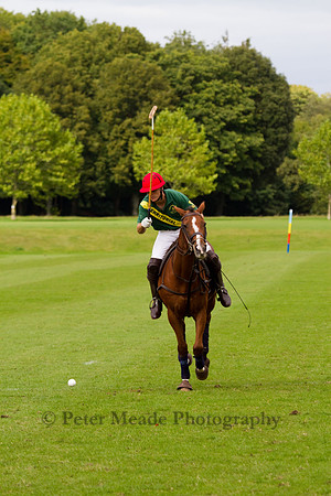 AGC Polo Cup 2011