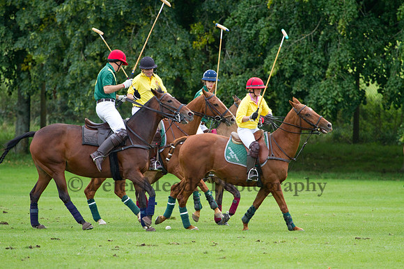 AGC Polo Cup 2011