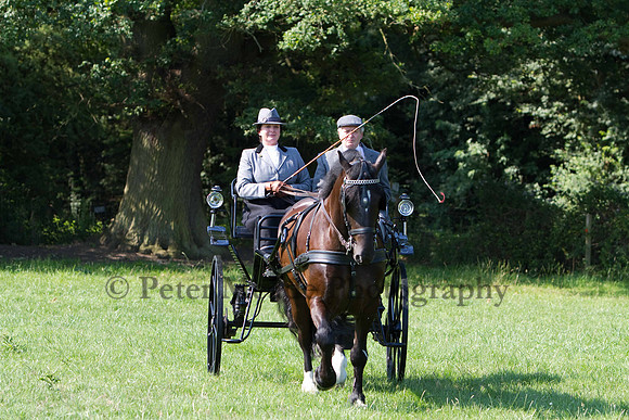 Warfield Driving show 2011