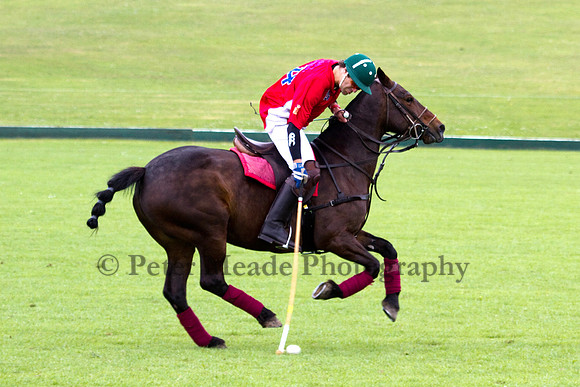 Royal Artillery Polo Tournament
