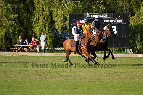 Summer Night's Polo