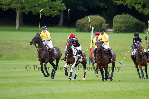 AGC Polo Cup 2011