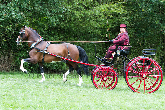 Warfield Driving show 2011