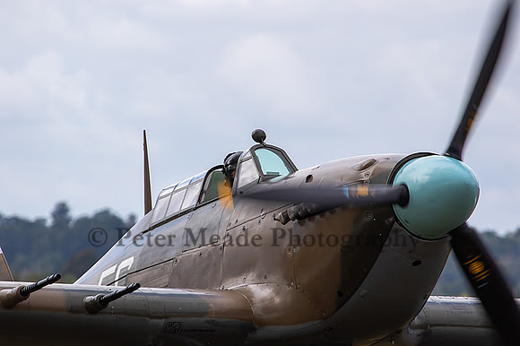 6F9A6760