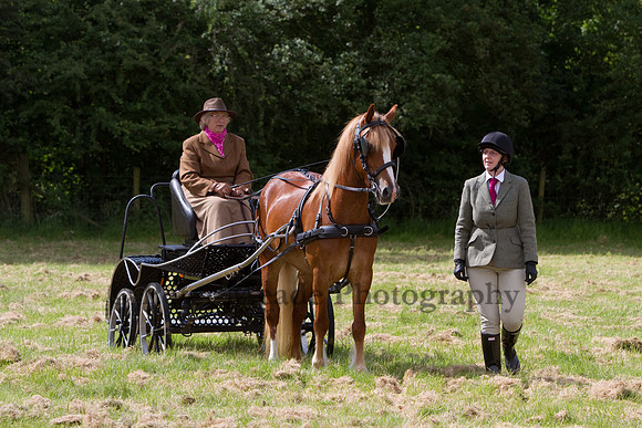 Warfield Driving Show 2012