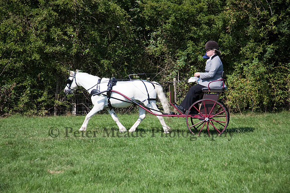 Warfield Driving show 2011