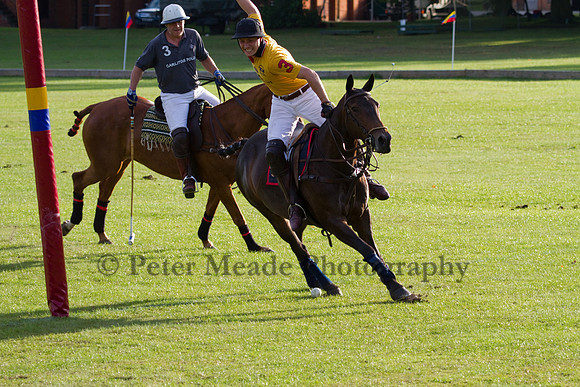 Summer Night's Polo