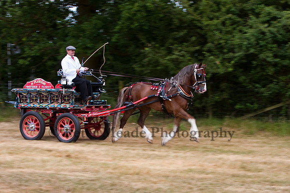 Warfield Driving Show 2010