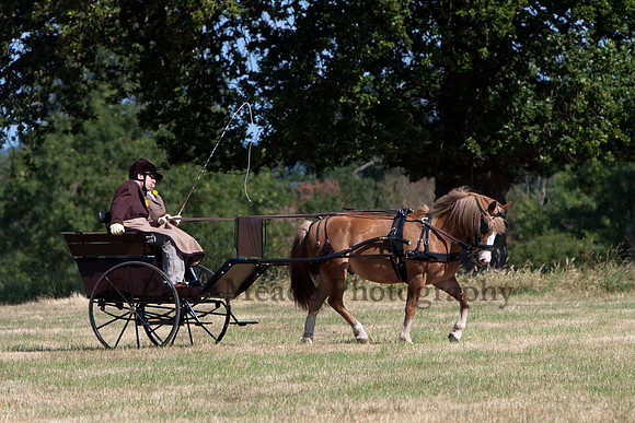 Warfield Driving Show 2010
