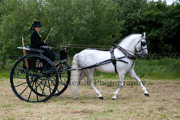 Warfield Driving Show 2012