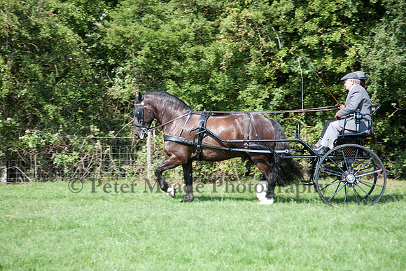 Warfield Driving show 2011