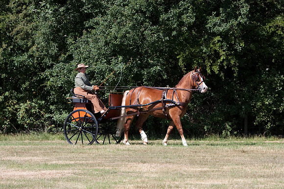 Warfield Driving Show 2010