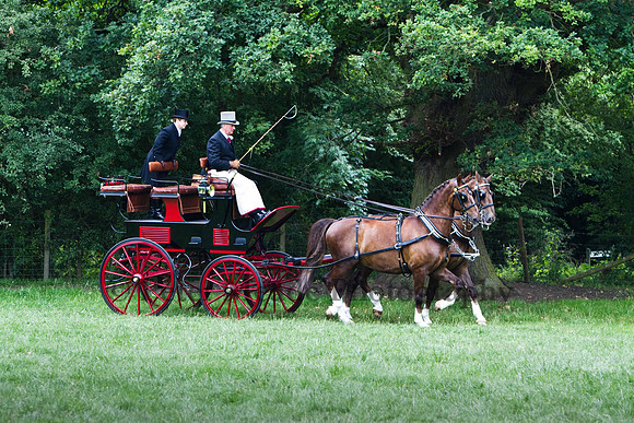 Warfield Driving show 2011