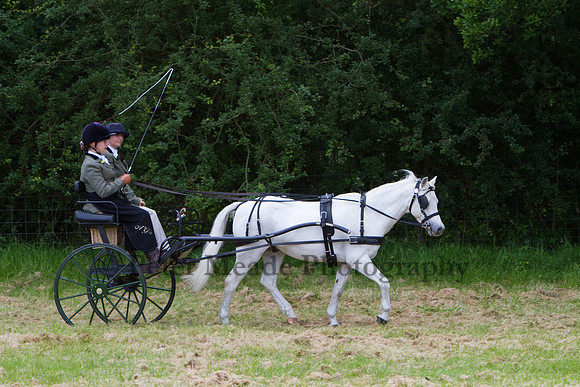 Warfield Driving Show 2012